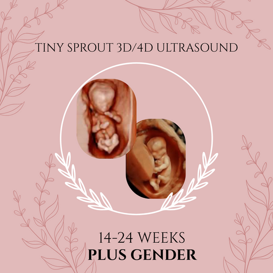 Tiny Sprout 3D/4D Ultrasound PLUS GENDER (14-24 weeks)