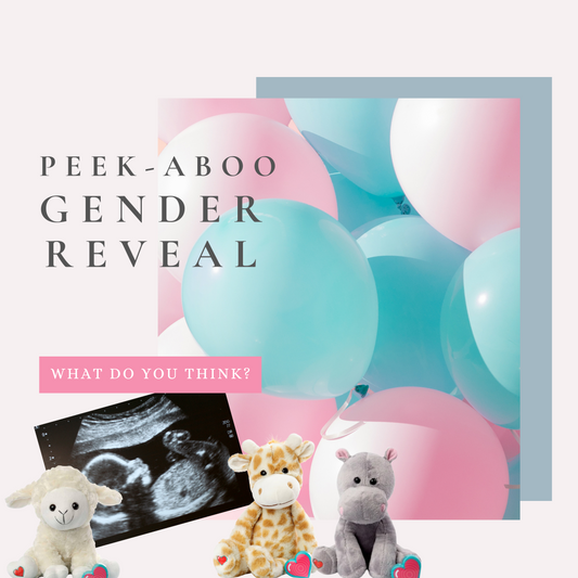 2D Peek-A-Boo Gender Reveal + Plush Heartbeat Animal